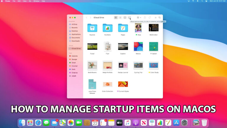 How To Manage Startup items On MacOS